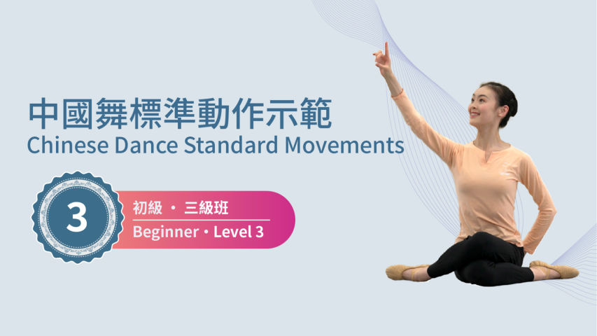 Beginner Course, Level 3 (Transitional level to Intermediate Course)